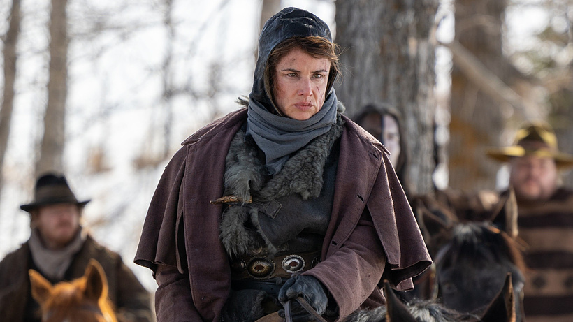 Imagen de The Thicket