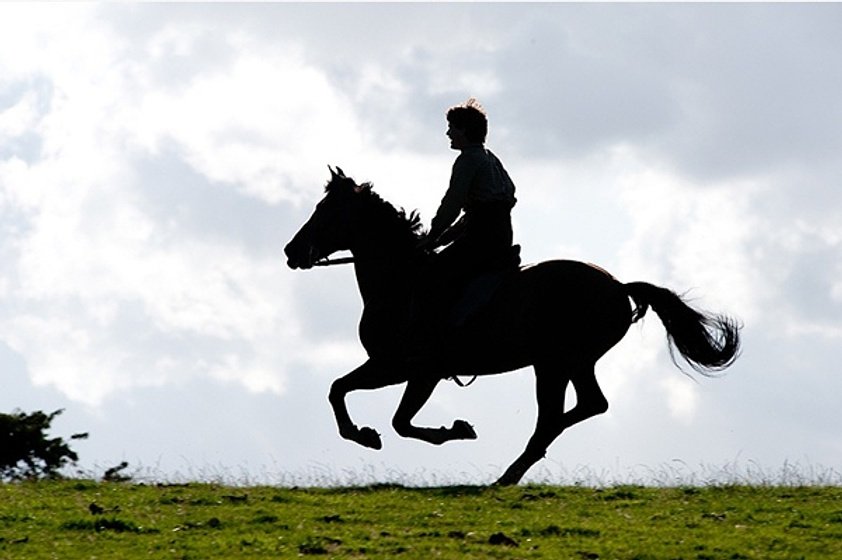 Jeremy Irvine en War Horse (Caballo de batalla)