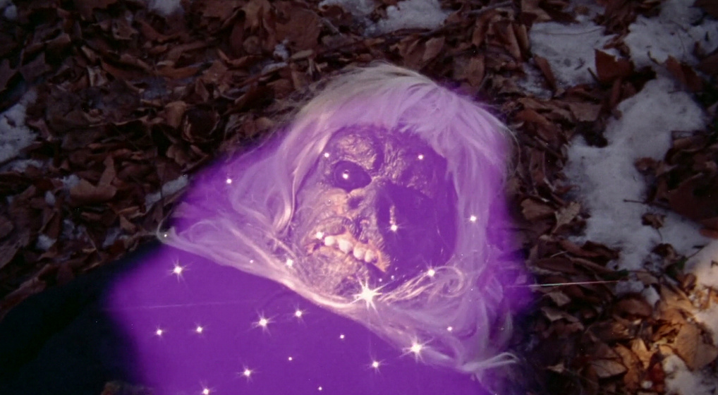 Imagen de The Alien Factor