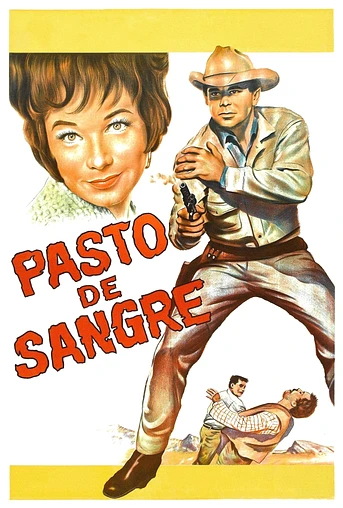Poster de Furia en el valle