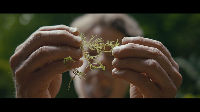 Imagen de Lost for Words