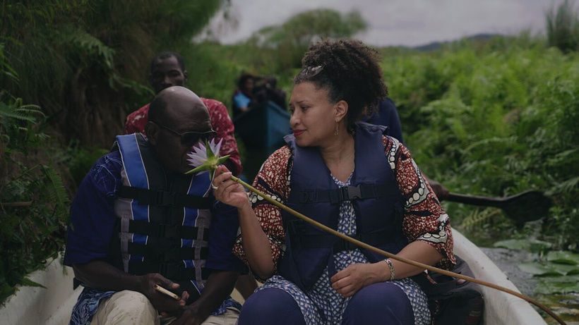 Imagen de Dreaming Serenada