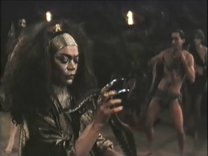 Imagen de Serpent Warriors