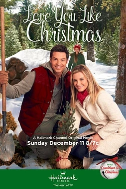 poster of movie El Valle de la Navidad