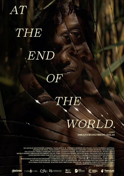 Imagen de at-the-end-of-the-world (Cartel)