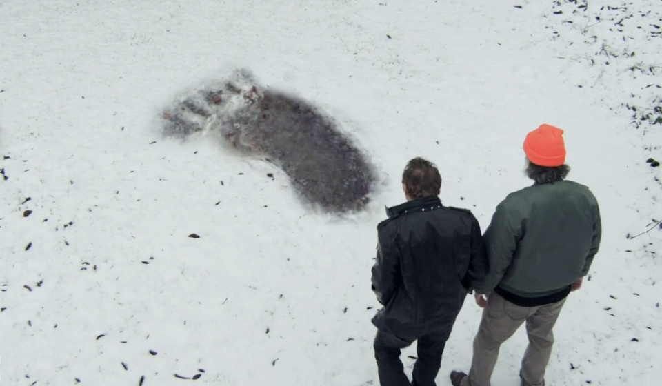 Imagen de bigfoot