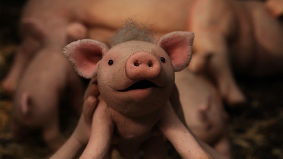 Imagen de Oink Oink