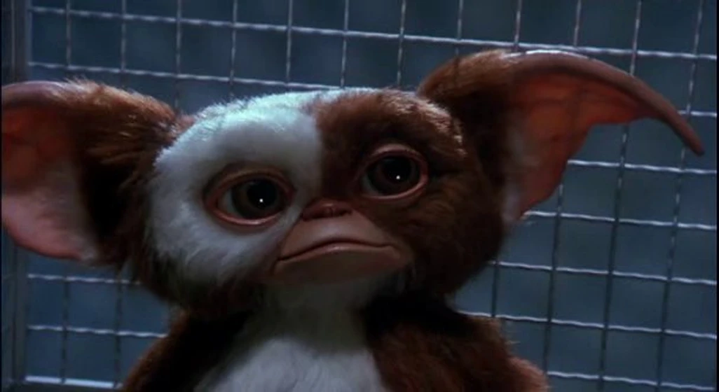 Imagen de gremlins-2-la-nueva-generacion (Gizmo)