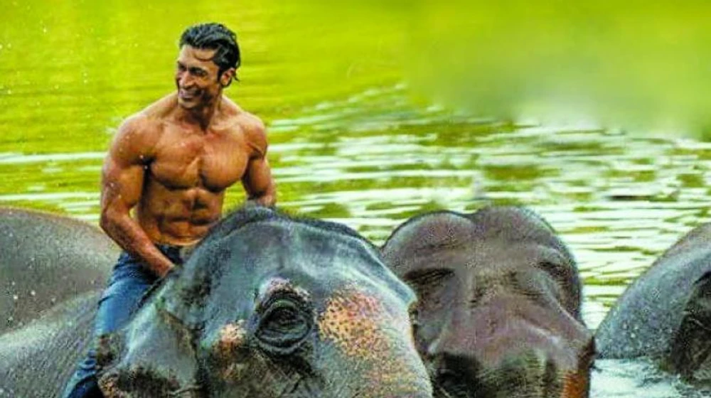 Vidyut Jammwal en junglee-alma-salvaje