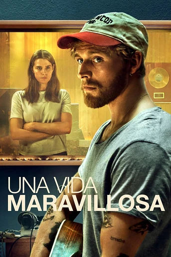 Poster de Una Vida maravillosa