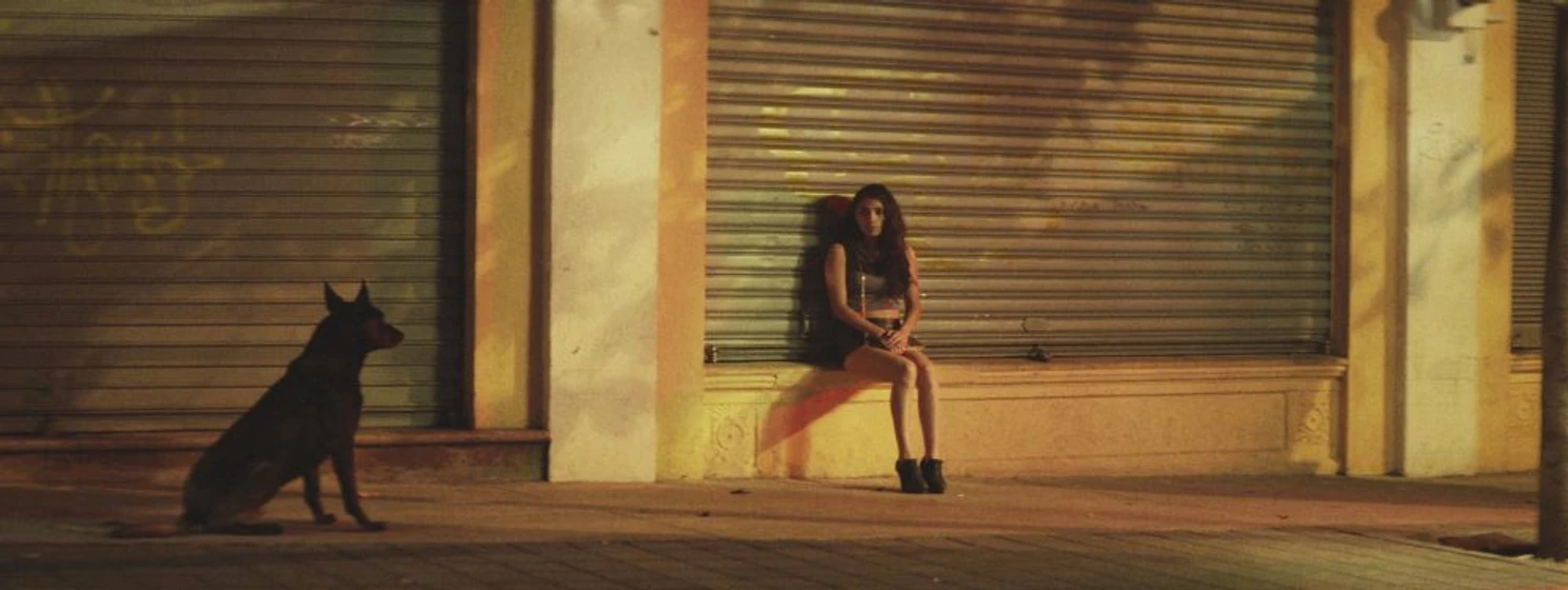 Imagen de cadejo-blanco