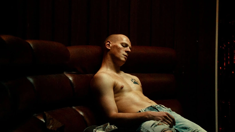 Imagen de Dog and Wolf