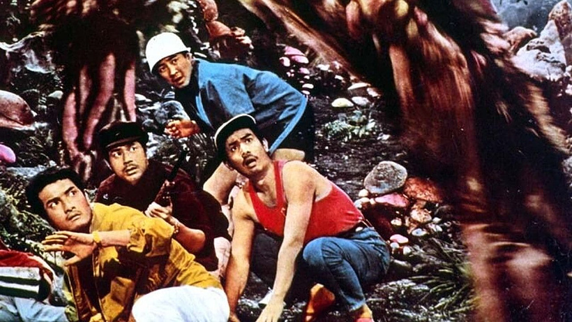 Imagen de Matango