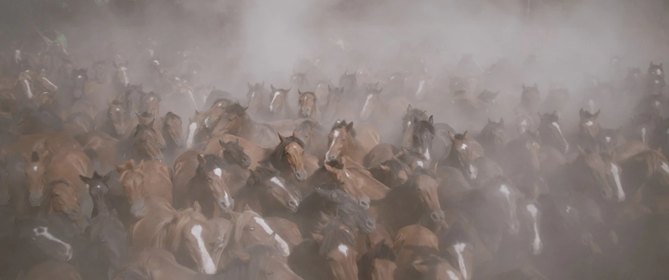 Imagen de el-rugir-de-las-llamas