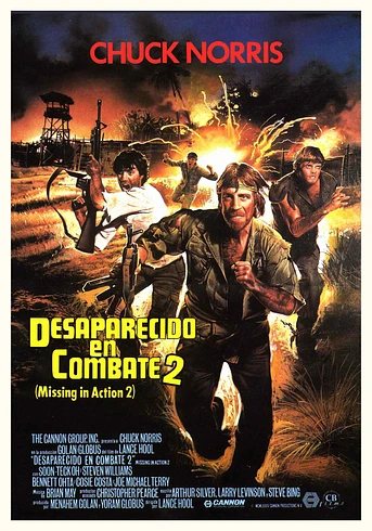 Poster de Desaparecido en combate 2