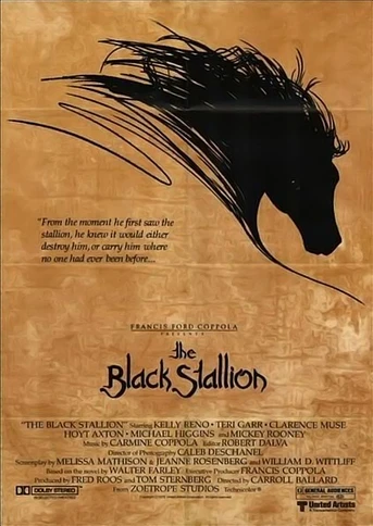 Poster de El Corcel Negro