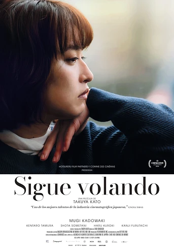 Poster de Sigue Volando