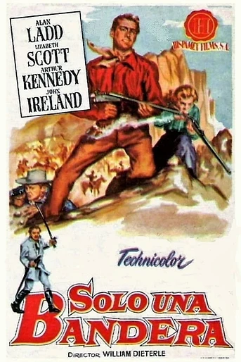 Poster de Sólo una Bandera