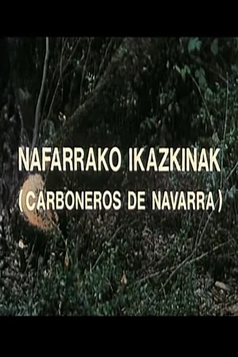 Poster de Carboneros de Navarra