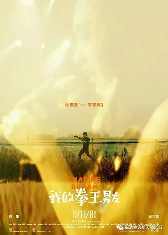 Poster de Chasing Dream