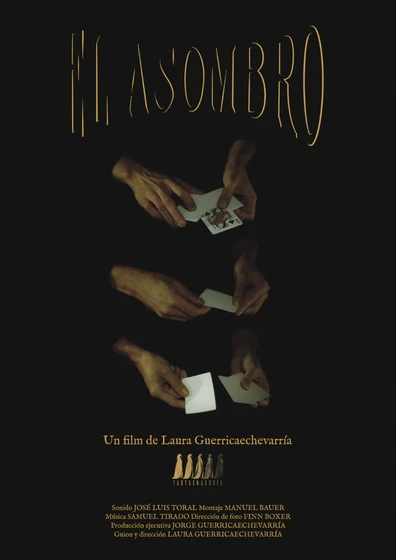 Imagen de el-asombro (Cartel)