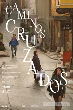 poster of movie Caminos Cruzados