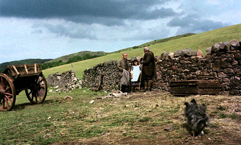 Imagen de mi-leal-companero