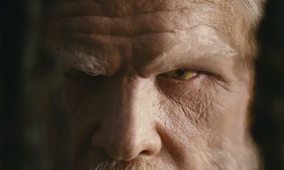 Imagen de Las Crónicas de Spiderwick