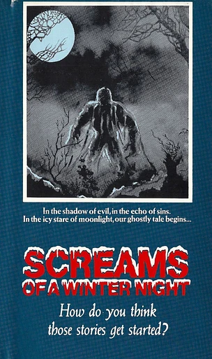 Poster de Screams of a Winter Night