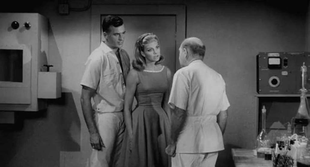 Heather Hewitt, William Joyce y Robert Stanton en zombies-i-eat-your-skin