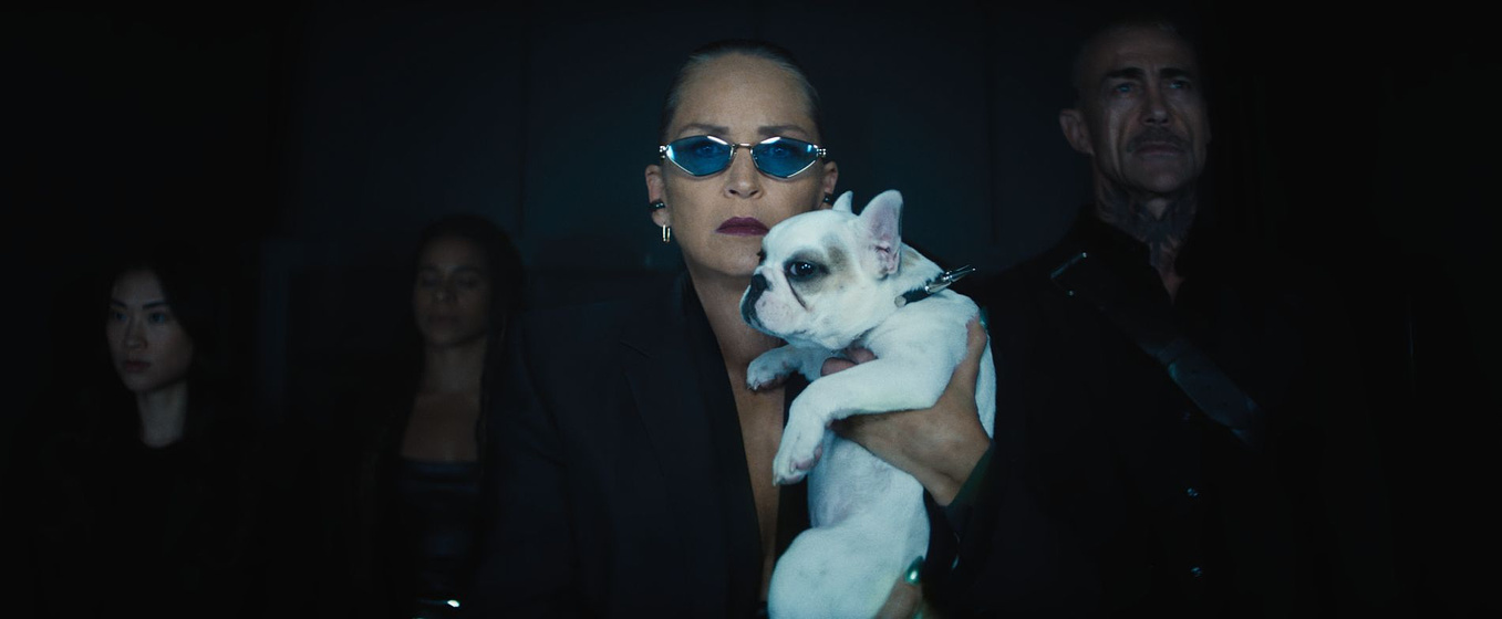 Sharon Stone en Nadie 2