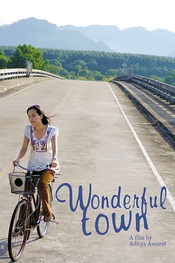 Poster de Wonderful town