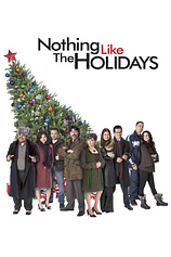 poster of movie Nothing like the holidays