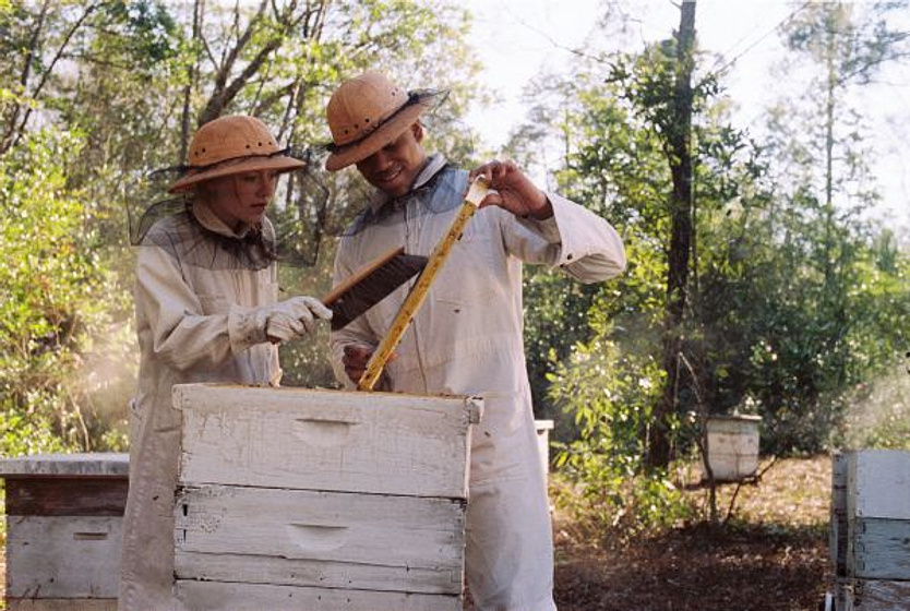 Dakota Fanning en La Vida Secreta de las abejas