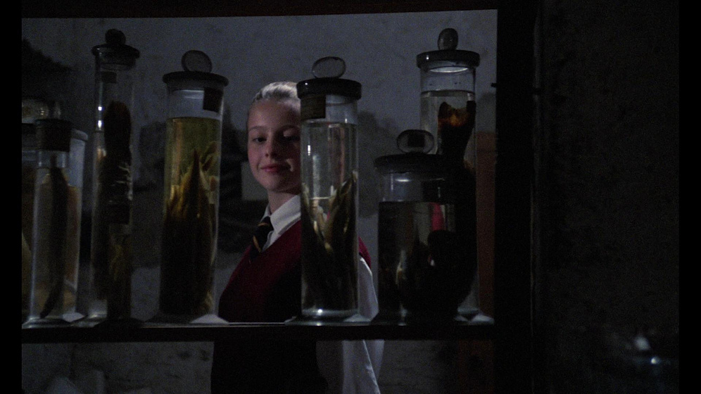 Imagen de school-of-fear