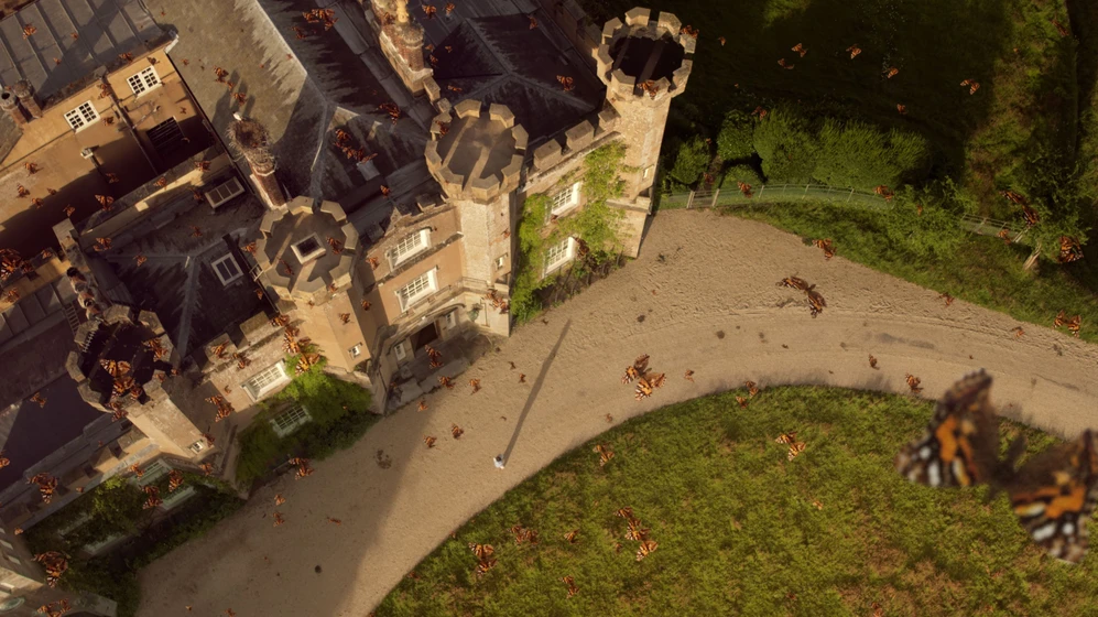 Imagen de wilding-el-regreso-de-la-naturaleza