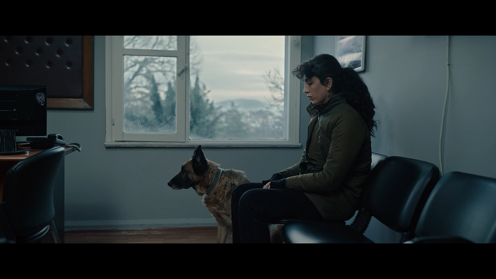 Imagen de stone-and-feather