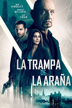 poster of movie La Trampa de la Araña