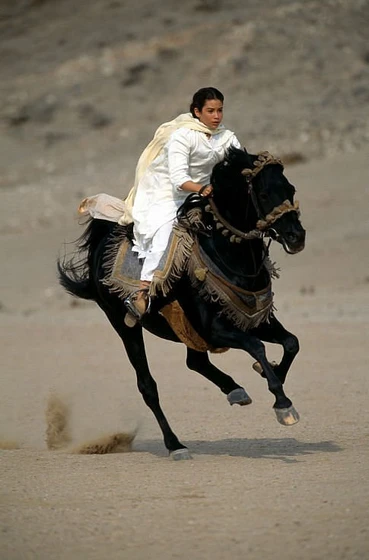 Biana Tamimi en shetan-el-caballo-del-desierto
