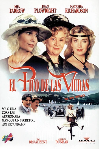 Poster de El Pico de las Viudas