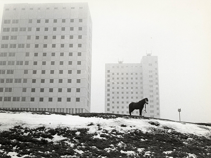 Imagen de El Amo y el Gigante