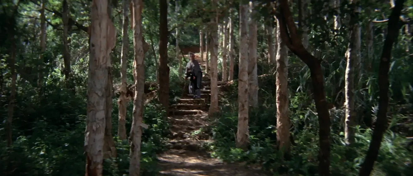 Imagen de vengeance-is-a-golden-blade