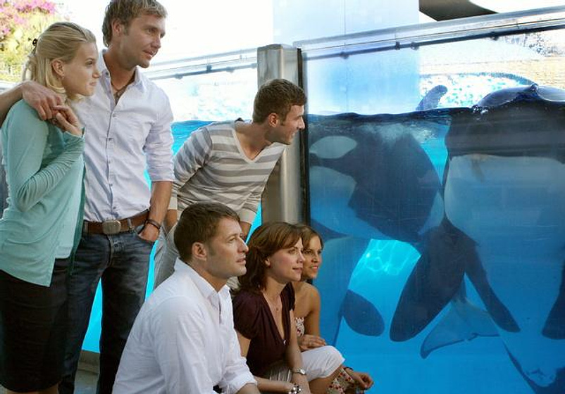 Birthe Wolter, Bruno Eyron, Eva-Maria Grein von Friedl, Patrik Fichte, Jochen Schropp y Gisa Zach en Luna de miel en Florida (Rumbo al Paraíso)