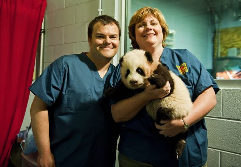 Jack Black en Kung Fu Panda 2
