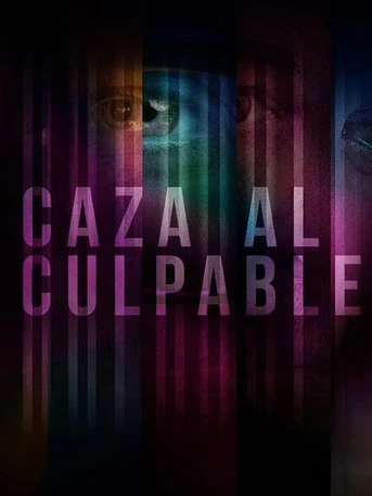 Poster de Caza al Culpable