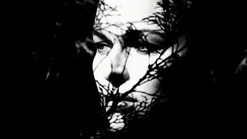 Imagen de Nocturno 29