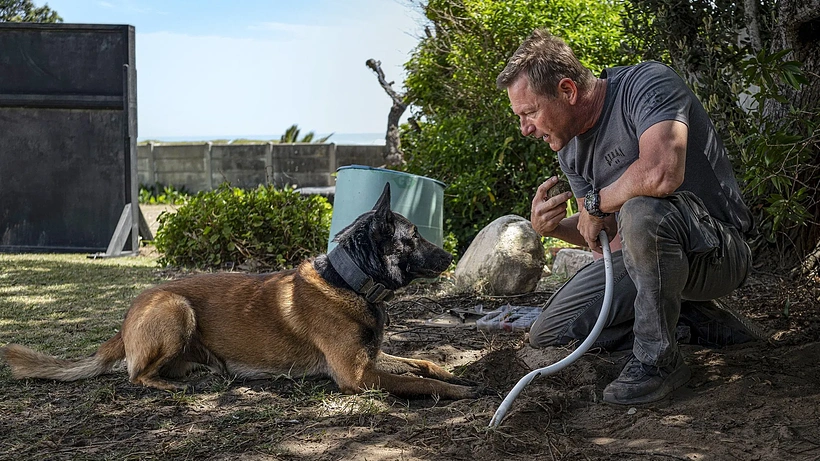 Imagen de Ajuste de Cuentas: La Ciudad de los Lobos 