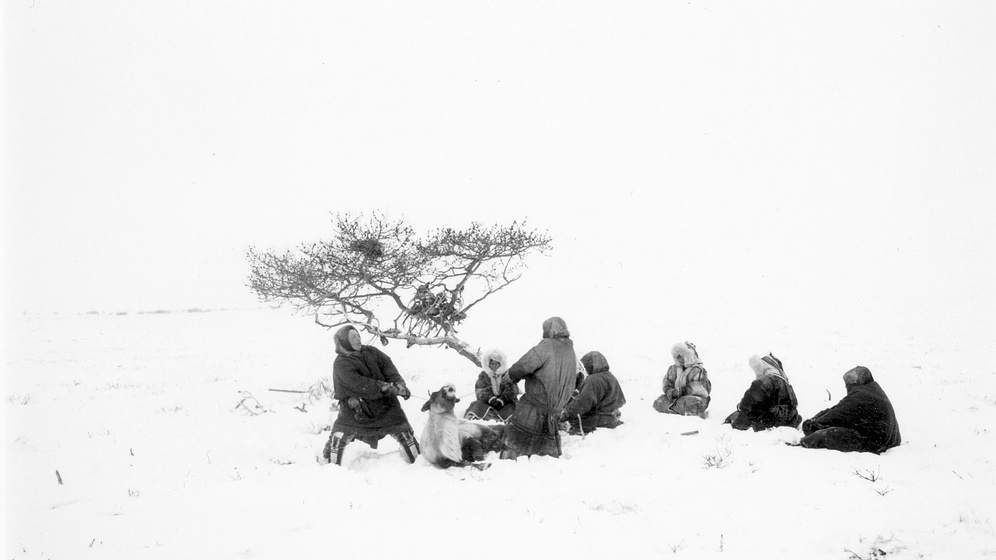 Imagen de Seven Songs from the Tundra