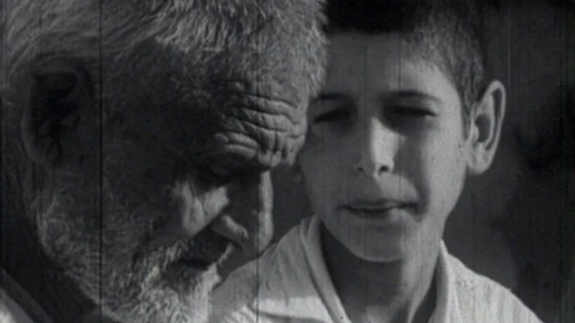 Imagen de 'P' de Pelicano