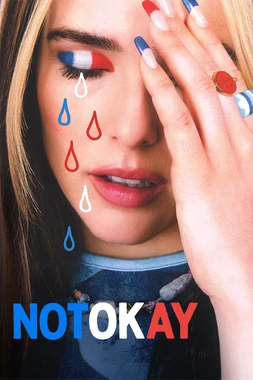 poster of movie Not Okay